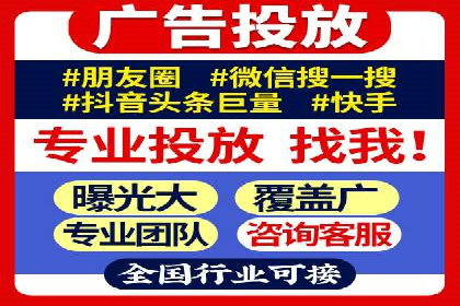 XX领域竞价广告的投放策略及效果展示